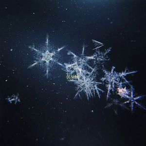 伊大人香蕉在线观看
